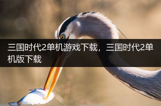 三国时代2单机游戏下载，三国时代2单机版下载