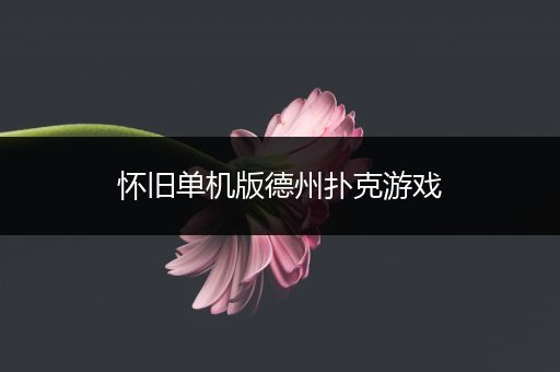 怀旧单机版德州扑克游戏