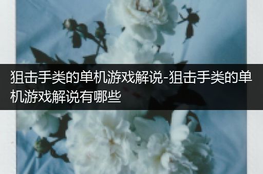 狙击手类的单机游戏解说-狙击手类的单机游戏解说有哪些