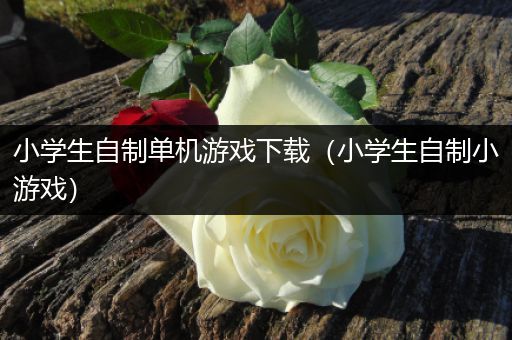 小学生自制单机游戏下载（小学生自制小游戏）