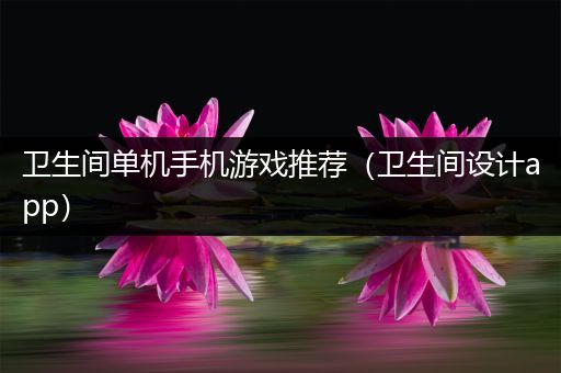 卫生间单机手机游戏推荐（卫生间设计app）