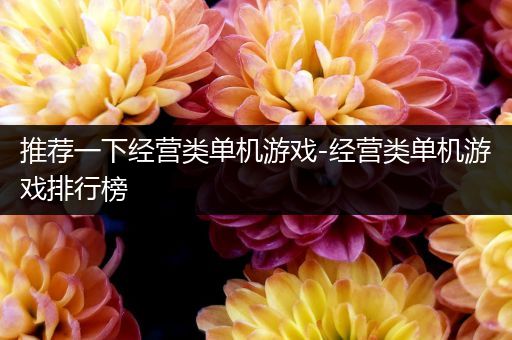 推荐一下经营类单机游戏-经营类单机游戏排行榜