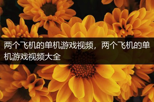 两个飞机的单机游戏视频，两个飞机的单机游戏视频大全