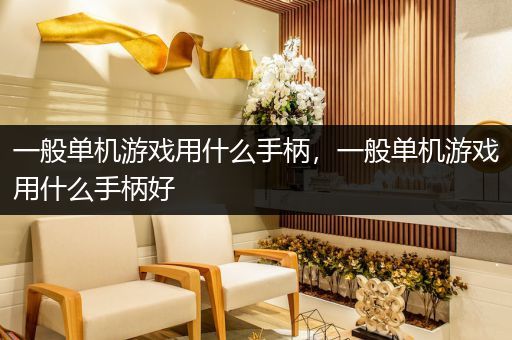 一般单机游戏用什么手柄，一般单机游戏用什么手柄好