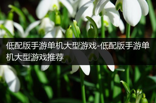 低配版手游单机大型游戏-低配版手游单机大型游戏推荐