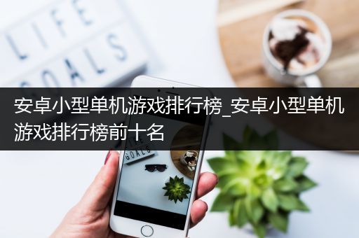 安卓小型单机游戏排行榜_安卓小型单机游戏排行榜前十名