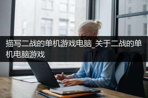 描写二战的单机游戏电脑_关于二战的单机电脑游戏