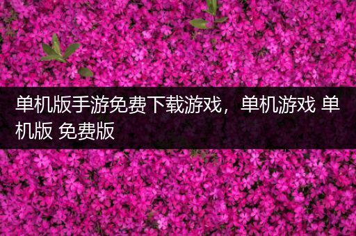 单机版手游免费下载游戏，单机游戏 单机版 免费版