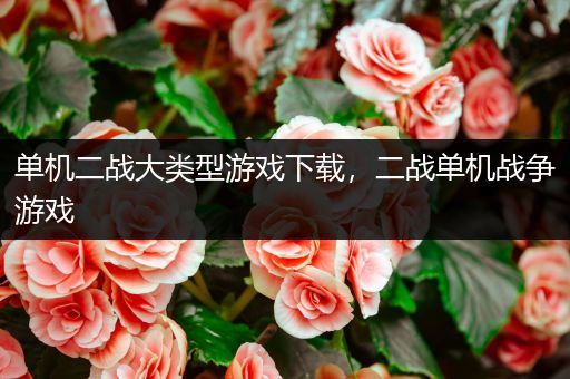 单机二战大类型游戏下载，二战单机战争游戏