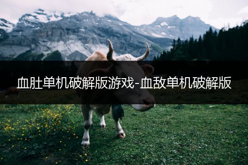 血肚单机破解版游戏-血敌单机破解版