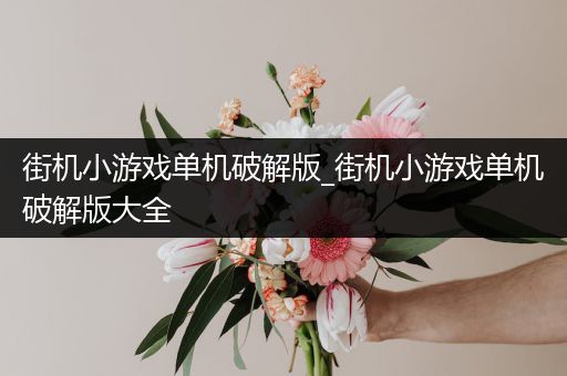 街机小游戏单机破解版_街机小游戏单机破解版大全