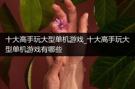 十大高手玩大型单机游戏_十大高手玩大型单机游戏有哪些