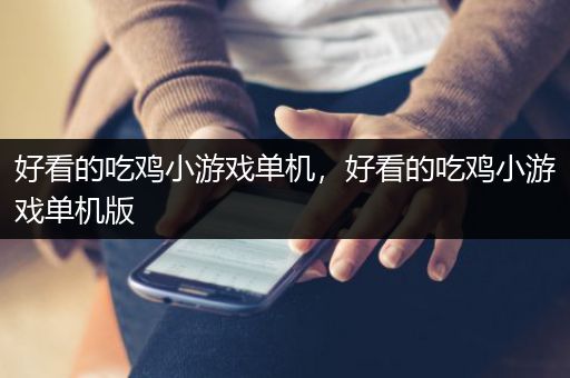 好看的吃鸡小游戏单机，好看的吃鸡小游戏单机版