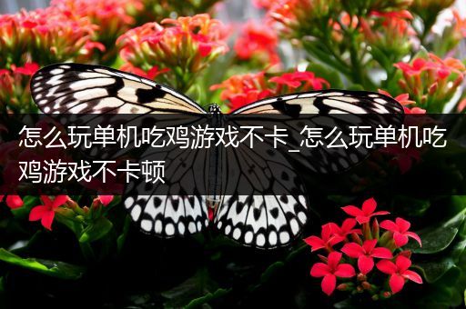 怎么玩单机吃鸡游戏不卡_怎么玩单机吃鸡游戏不卡顿
