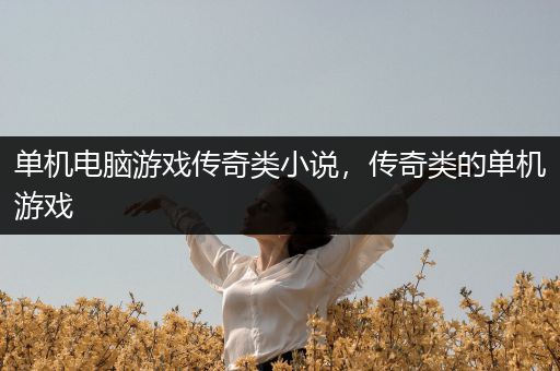 单机电脑游戏传奇类小说，传奇类的单机游戏