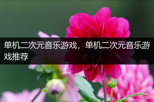 单机二次元音乐游戏，单机二次元音乐游戏推荐