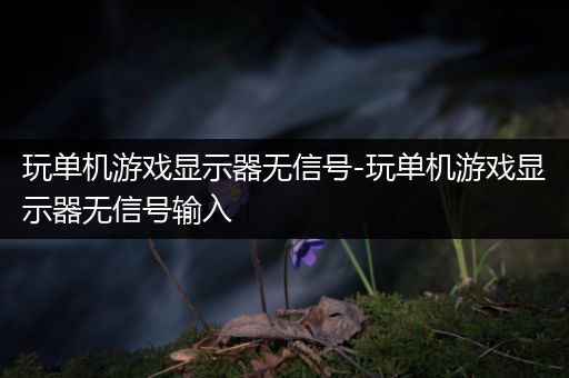 玩单机游戏显示器无信号-玩单机游戏显示器无信号输入
