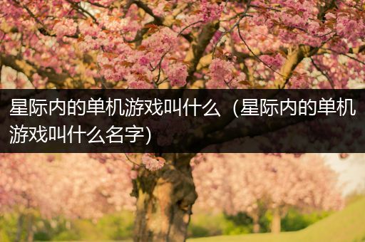 星际内的单机游戏叫什么（星际内的单机游戏叫什么名字）