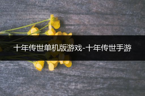 十年传世单机版游戏-十年传世手游