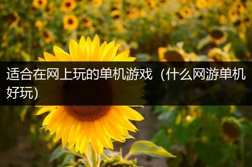 适合在网上玩的单机游戏（什么网游单机好玩）