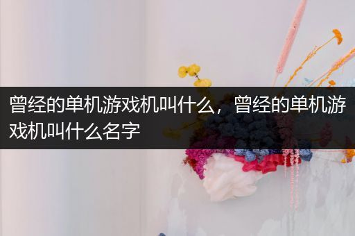 曾经的单机游戏机叫什么，曾经的单机游戏机叫什么名字