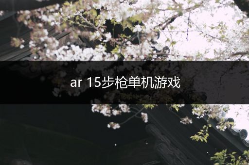 ar 15步枪单机游戏