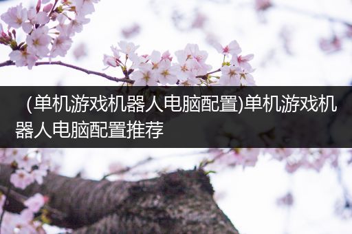 （单机游戏机器人电脑配置)单机游戏机器人电脑配置推荐