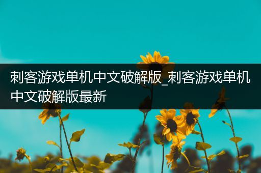 刺客游戏单机中文破解版_刺客游戏单机中文破解版最新