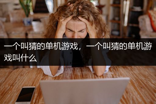 一个叫猜的单机游戏，一个叫猜的单机游戏叫什么