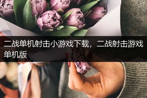 二战单机射击小游戏下载，二战射击游戏单机版