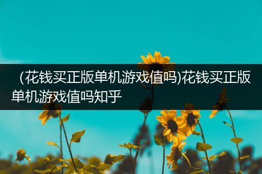 （花钱买正版单机游戏值吗)花钱买正版单机游戏值吗知乎