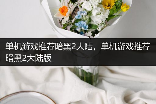 单机游戏推荐暗黑2大陆，单机游戏推荐暗黑2大陆版