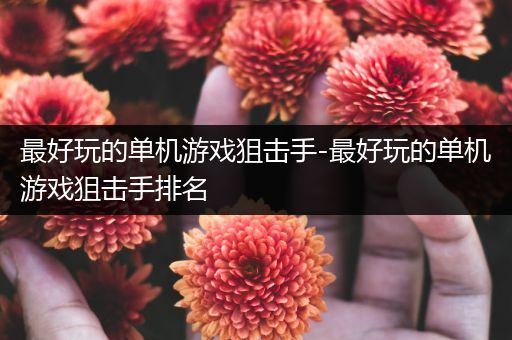 最好玩的单机游戏狙击手-最好玩的单机游戏狙击手排名