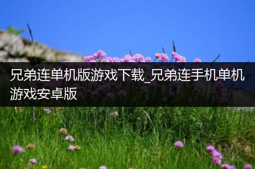 兄弟连单机版游戏下载_兄弟连手机单机游戏安卓版