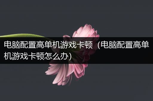 电脑配置高单机游戏卡顿（电脑配置高单机游戏卡顿怎么办）