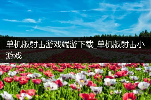 单机版射击游戏端游下载_单机版射击小游戏