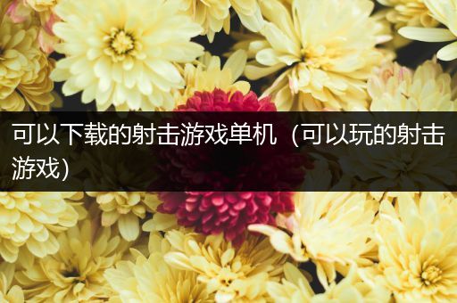 可以下载的射击游戏单机（可以玩的射击游戏）