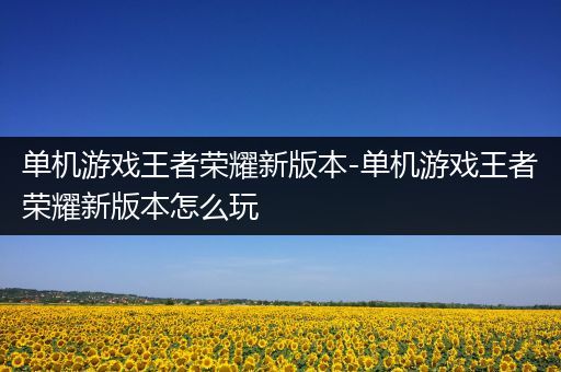 单机游戏王者荣耀新版本-单机游戏王者荣耀新版本怎么玩