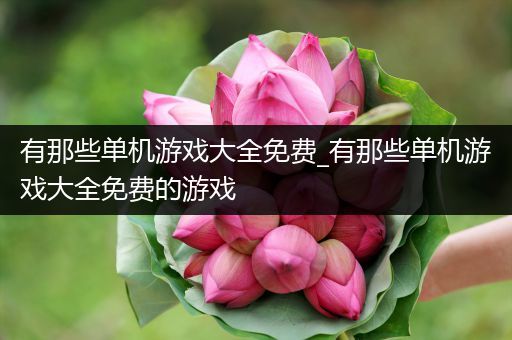 有那些单机游戏大全免费_有那些单机游戏大全免费的游戏