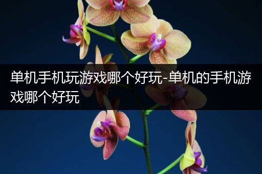 单机手机玩游戏哪个好玩-单机的手机游戏哪个好玩