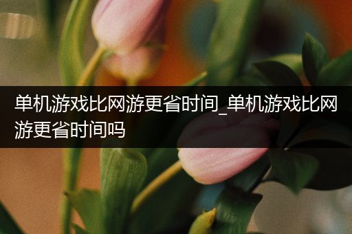 单机游戏比网游更省时间_单机游戏比网游更省时间吗