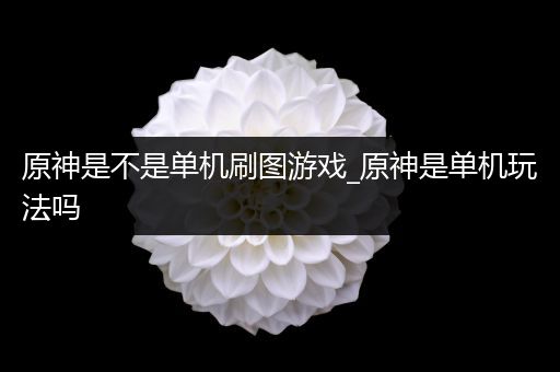 原神是不是单机刷图游戏_原神是单机玩法吗