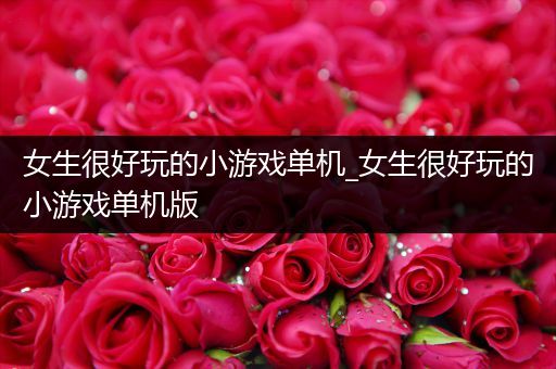 女生很好玩的小游戏单机_女生很好玩的小游戏单机版