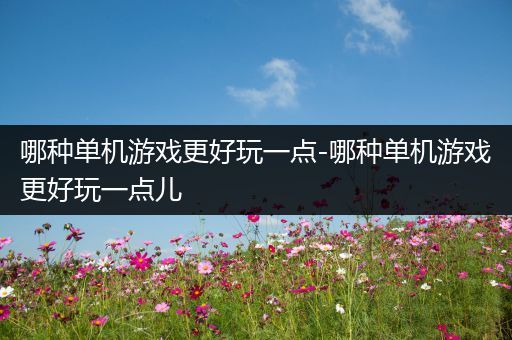 哪种单机游戏更好玩一点-哪种单机游戏更好玩一点儿