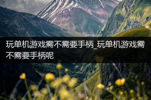 玩单机游戏需不需要手柄_玩单机游戏需不需要手柄呢