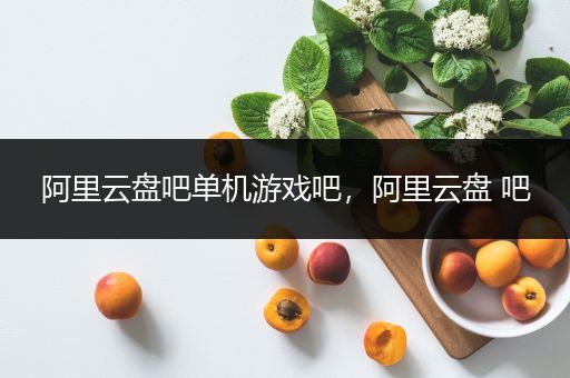 阿里云盘吧单机游戏吧，阿里云盘 吧