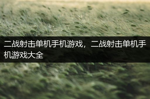 二战射击单机手机游戏，二战射击单机手机游戏大全