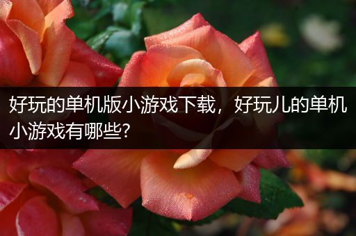 好玩的单机版小游戏下载，好玩儿的单机小游戏有哪些?