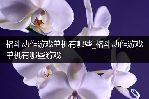 格斗动作游戏单机有哪些_格斗动作游戏单机有哪些游戏
