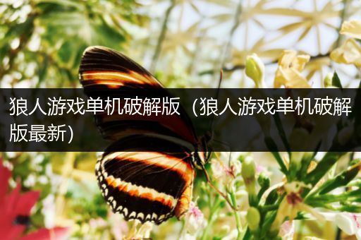 狼人游戏单机破解版（狼人游戏单机破解版最新）